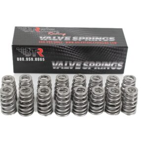 BTR LS6 Beehive Valve Springs, Set of 16